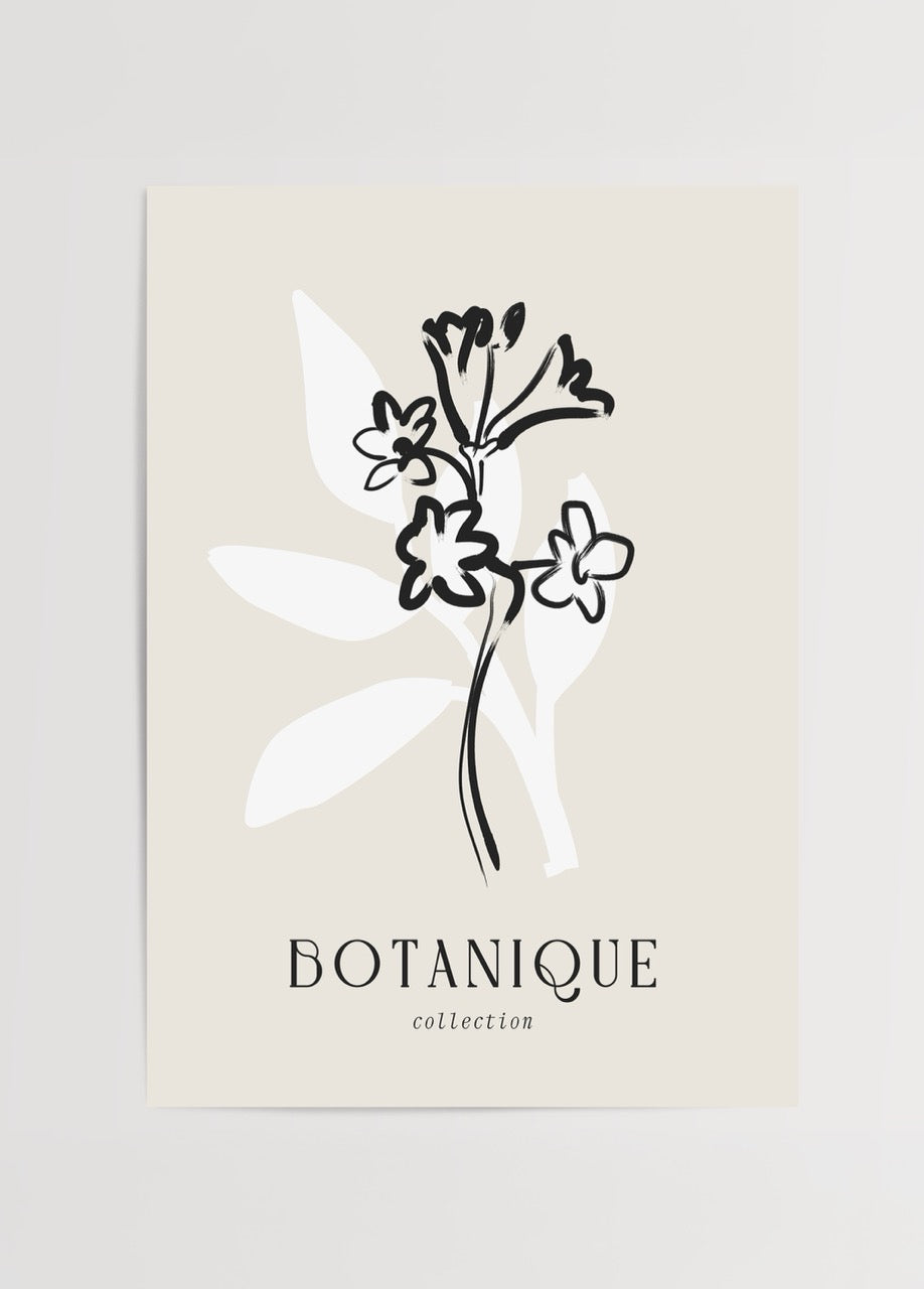 Elegant black and white floral line art print.