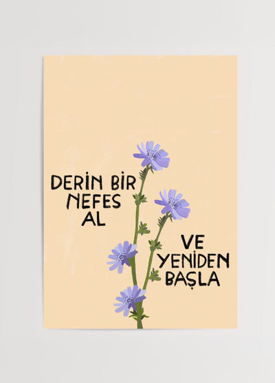 ‘Take a Deep Breath and Start Again’ Poster Print