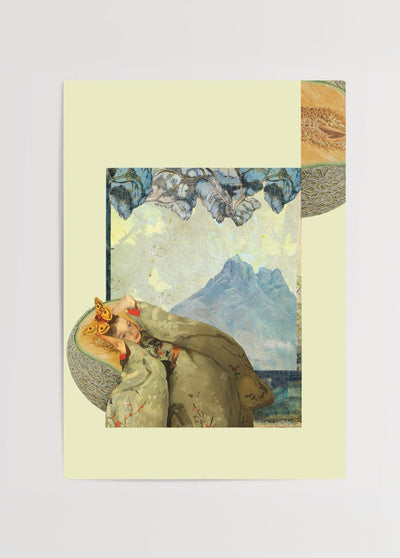 Melon and Butterfly Poster Print