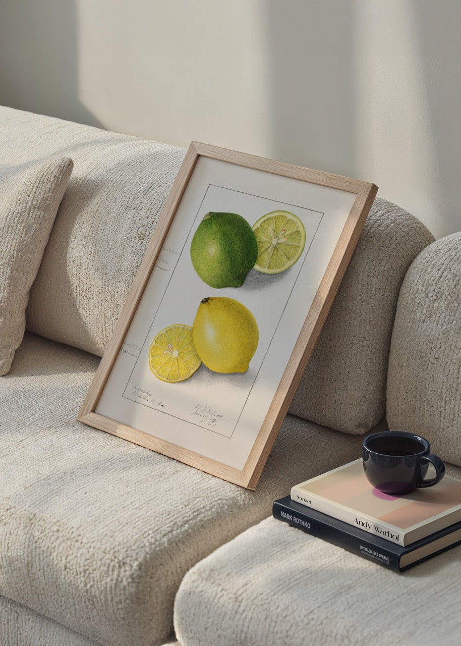 Illustrated print of limon and lime, showcasing vibrant colours and natural beauty.