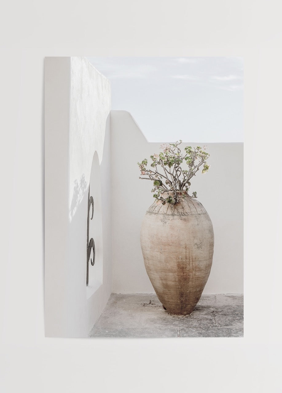 Serene Mediterranean clay pot with greenery against a minimalist white wall