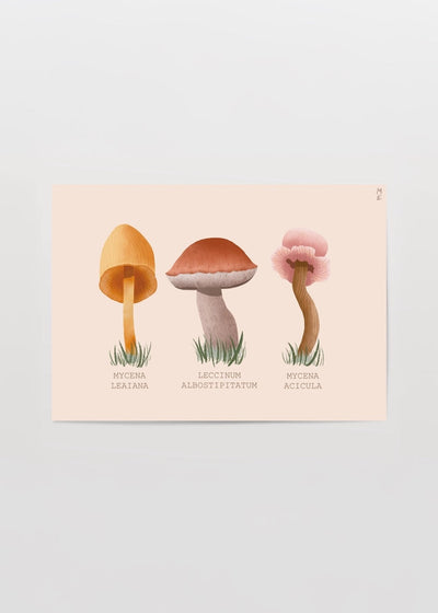 Mushrooms Poster Print