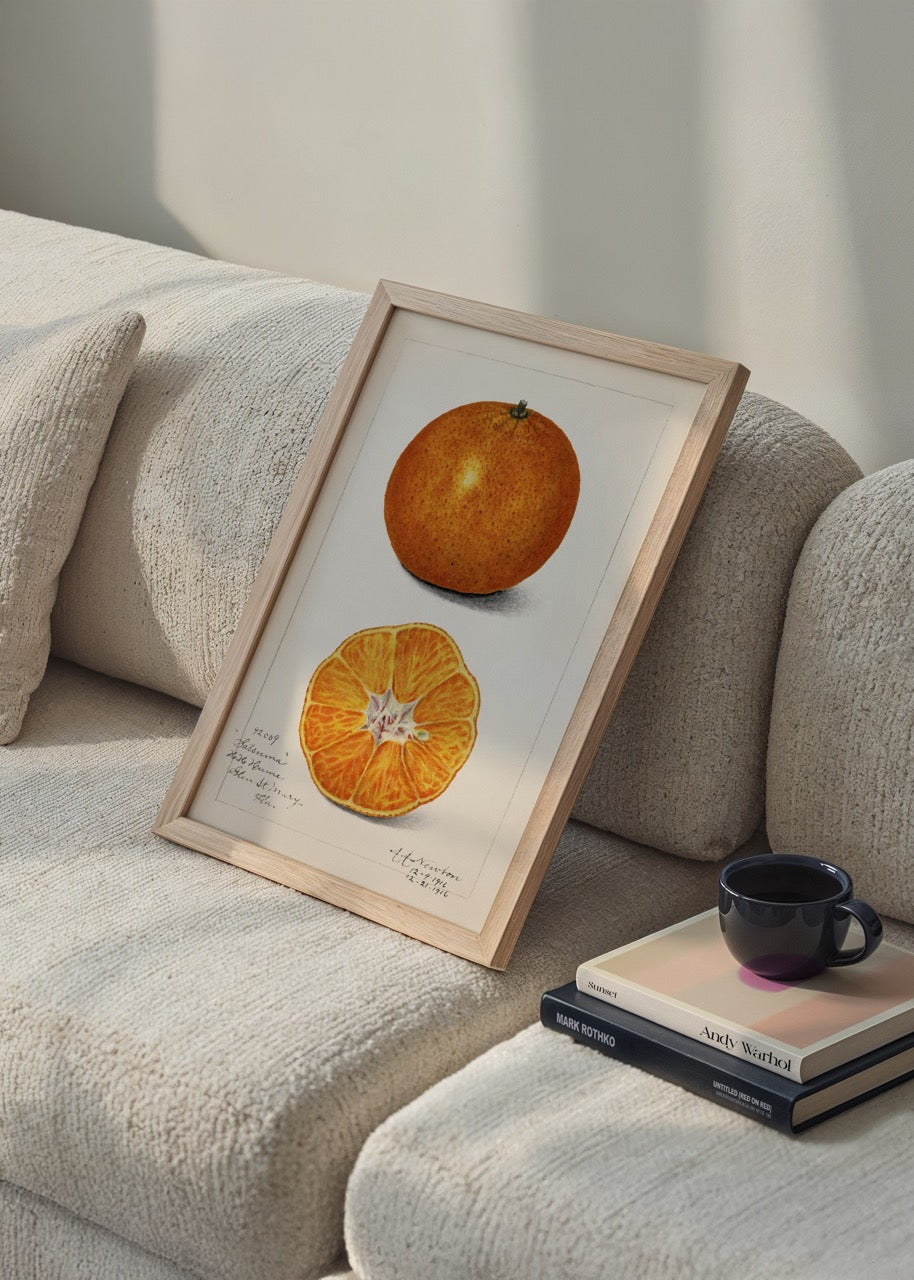 Vibrant Satsuma fruit illustration showcasing a whole orange and a halved Satsuma.