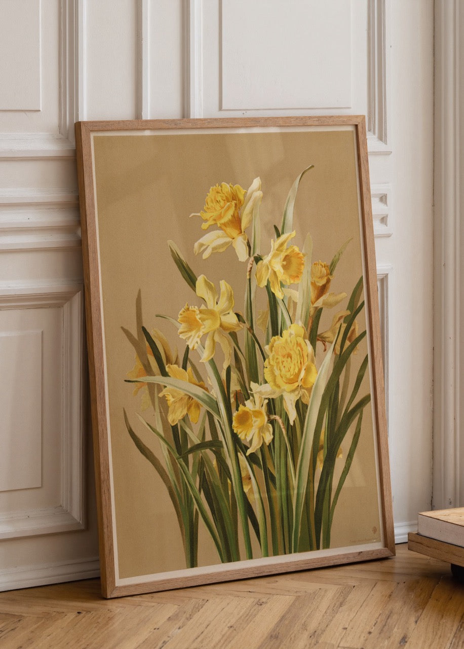 Golden daffodil botanical illustration on beige background.