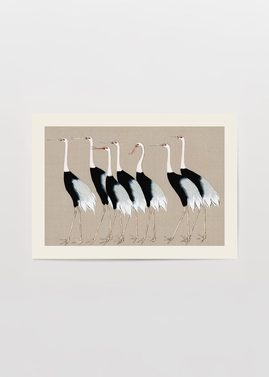 Elegant illustration of cranes on a subtle beige background