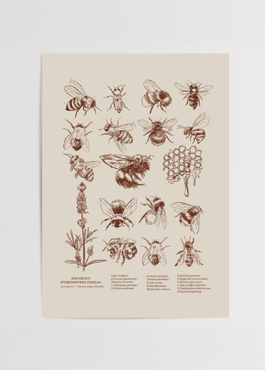 Detailed illustration of various bee species on a beige background.
