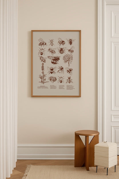 Detailed illustration of various bee species on a beige background.