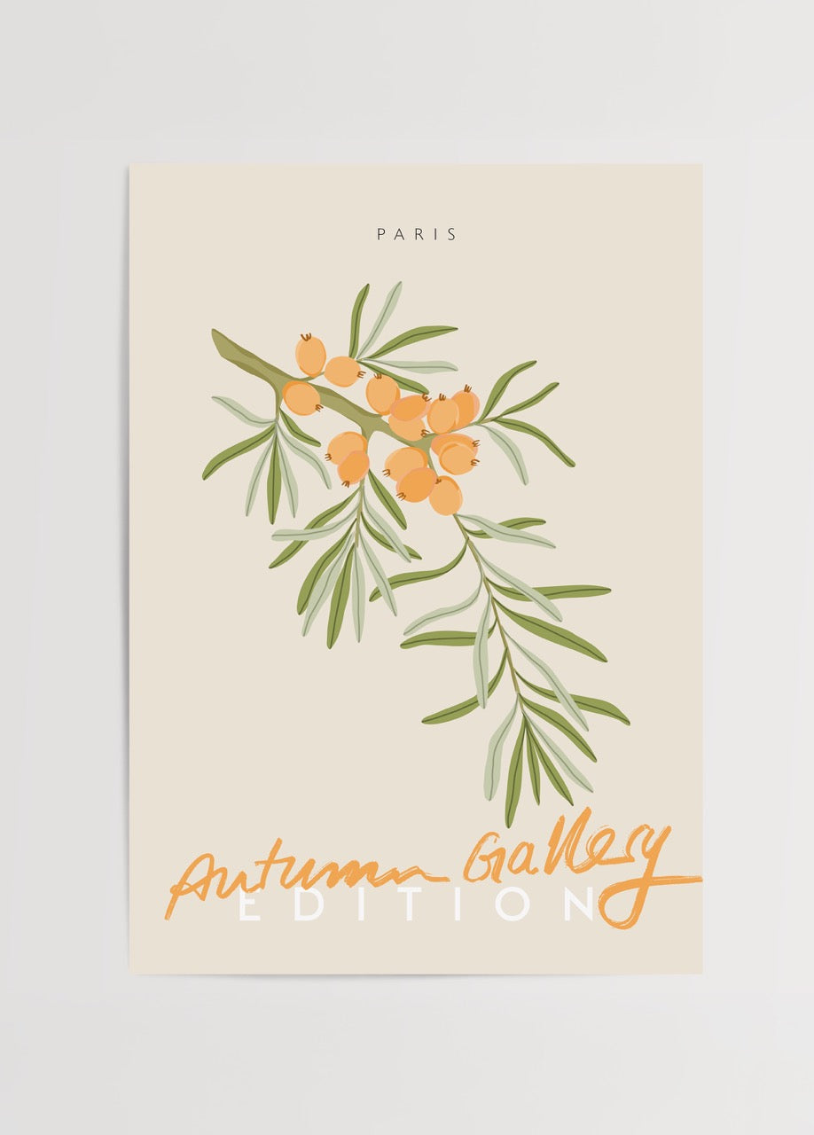 Botanical illustration featuring orange berries and green leaves, perfect for autumn-themed decor.