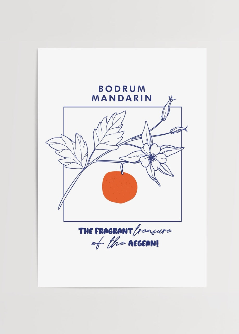 Bodrum Mandarin Poster featuring floral and fruit illustrations.