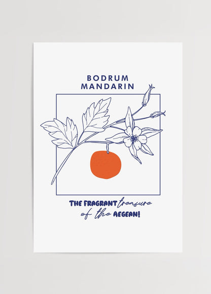 Bodrum Mandarin Poster featuring floral and fruit illustrations.
