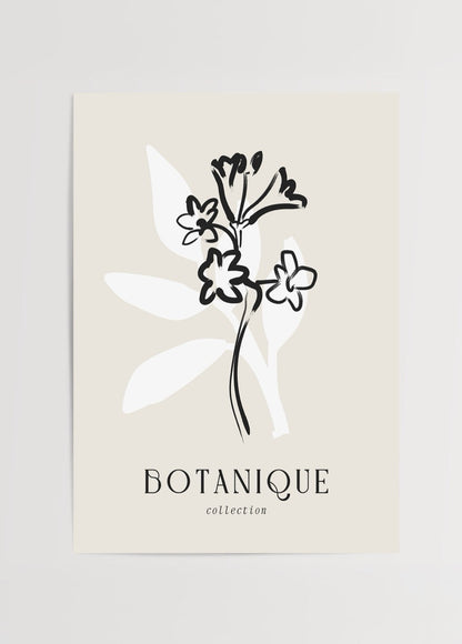 Elegant black and white floral line art print.