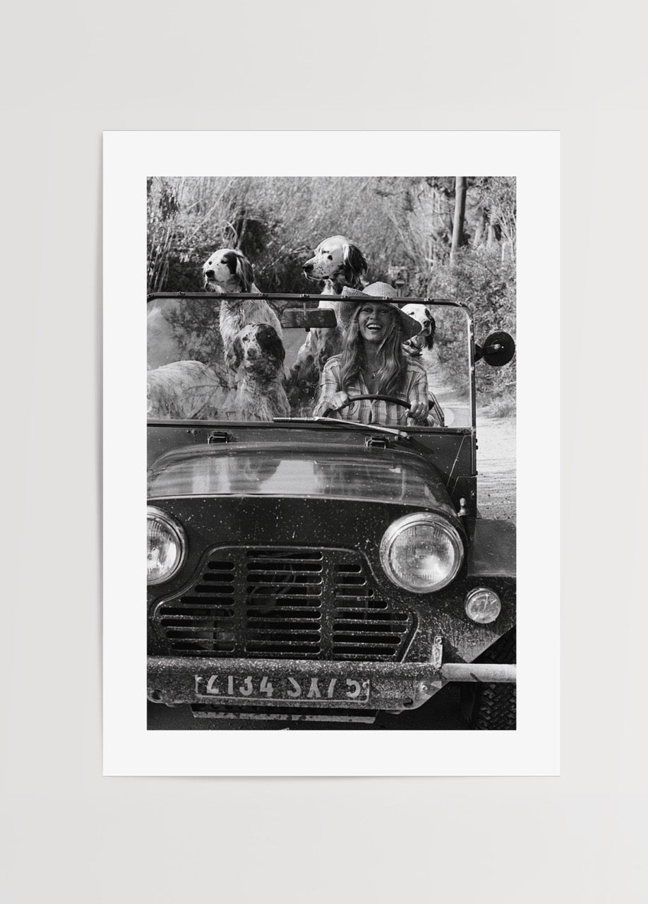 Black and white wall art of a joyful girl driving with dogs.