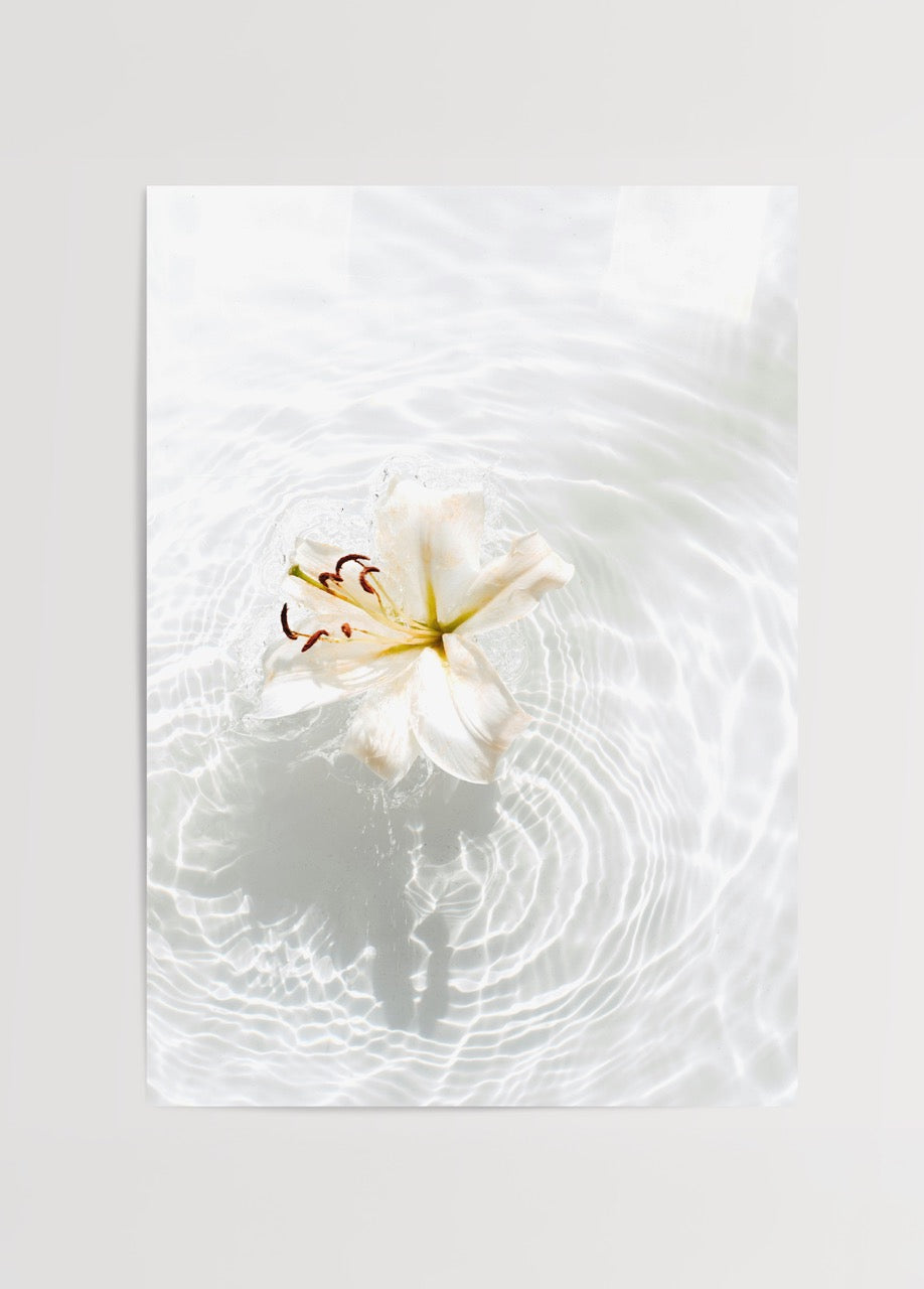 Minimalist wall art of a serene water lily floating on rippling water.