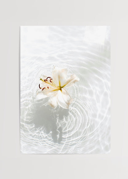 Minimalist wall art of a serene water lily floating on rippling water.