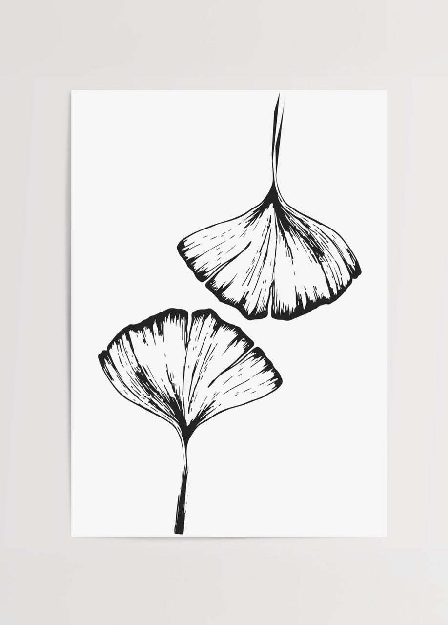 Elegant black and white illustration of ginkgo leaves on a white background.