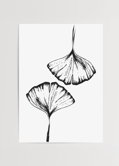 Elegant black and white illustration of ginkgo leaves on a white background.