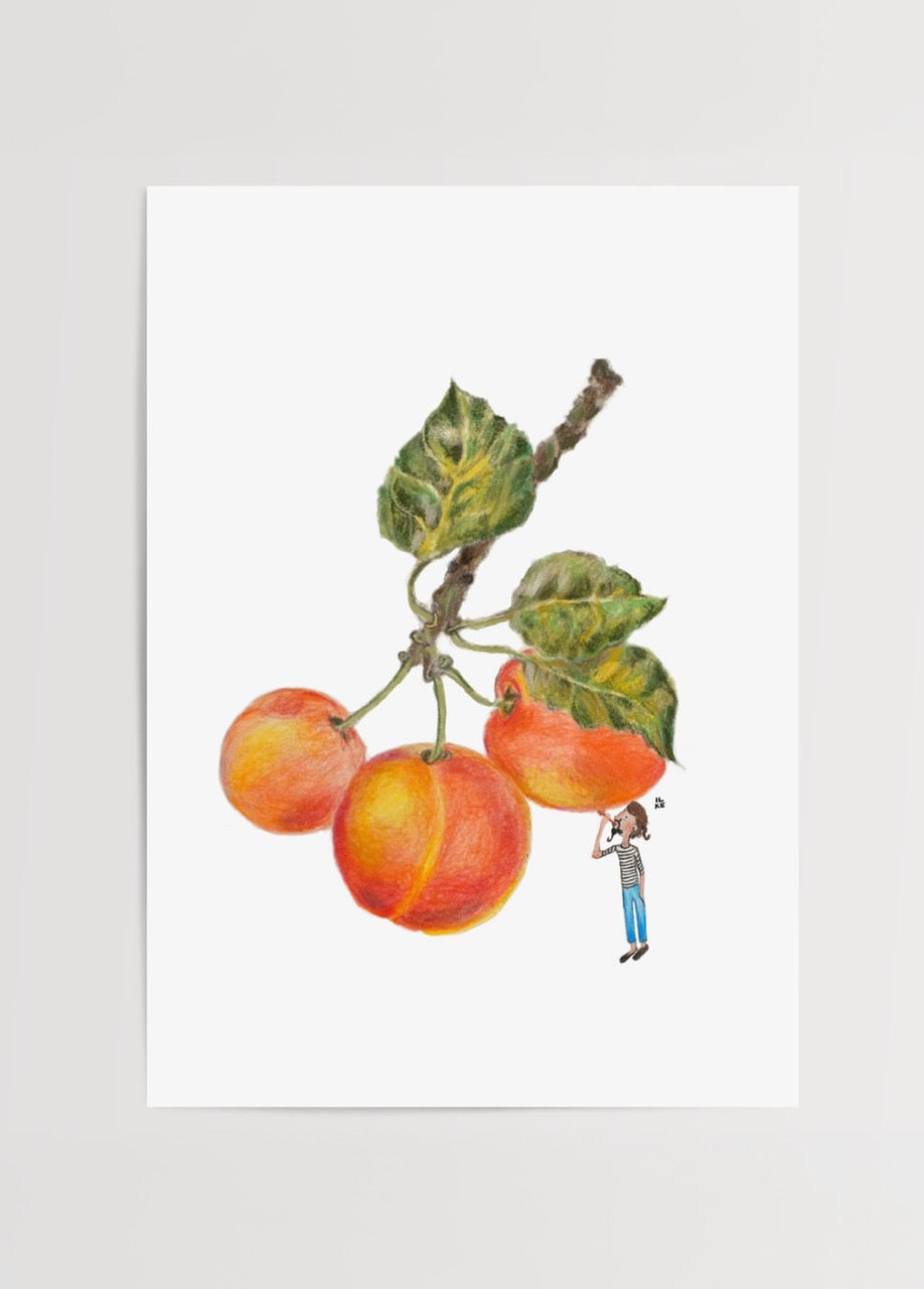 Vibrant illustration of fruits with detailed leaves and a whimsical character inspecting them.