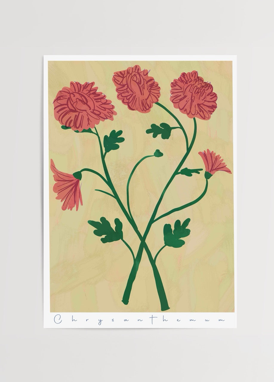 Vibrant chrysanthemum flowers illustration in pink and green.