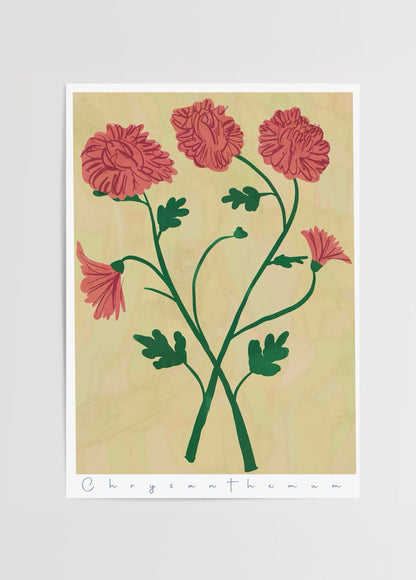 Vibrant chrysanthemum flowers illustration in pink and green.