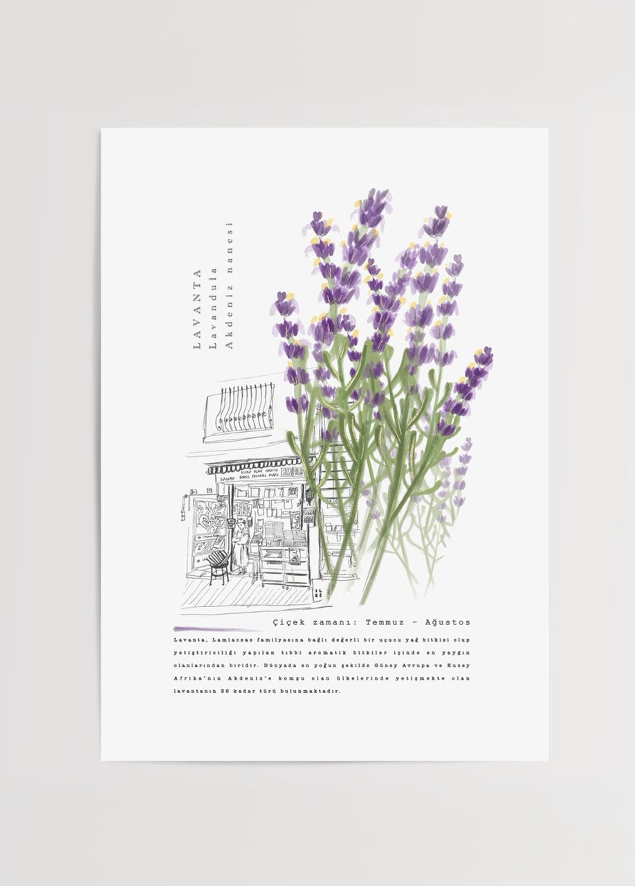 Lavender Poster Print featuring delicate lavender flowers and artistic design elements.