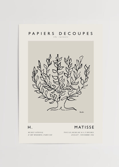 Elegant botanical line art poster featuring minimalistic plant design.
