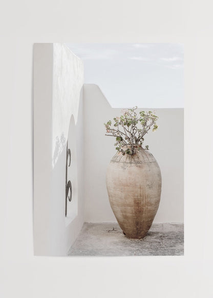 Serene Mediterranean clay pot with greenery against a minimalist white wall