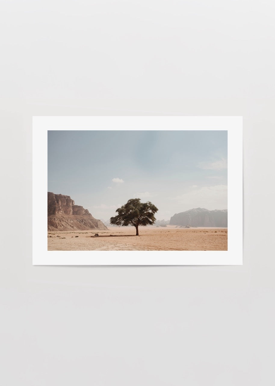 A serene desert landscape featuring a solitary tree under a clear blue sky.