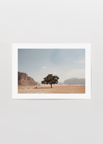 A serene desert landscape featuring a solitary tree under a clear blue sky.