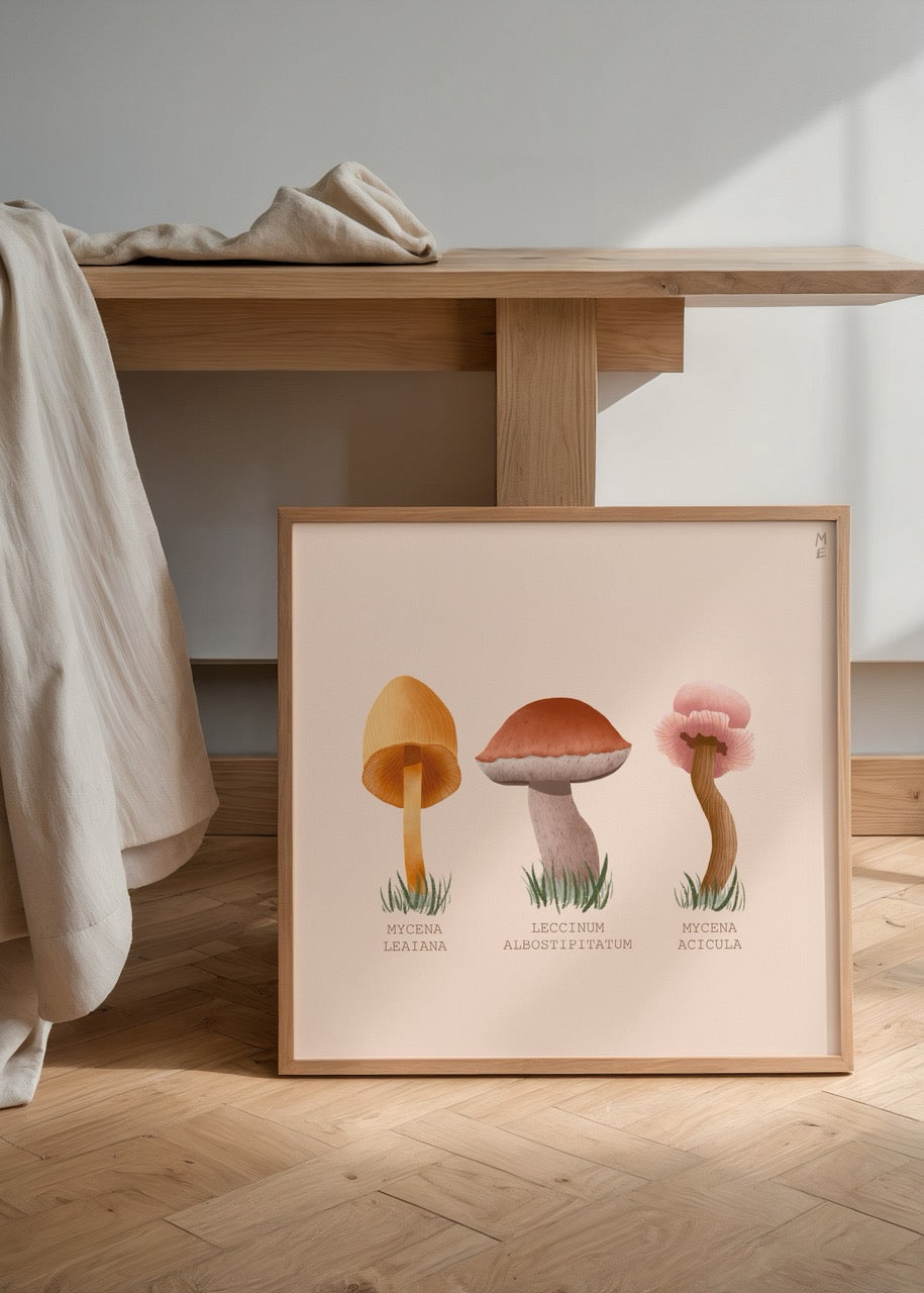 Beautiful mushrooms illustration in earthy tones, perfect for wall art.