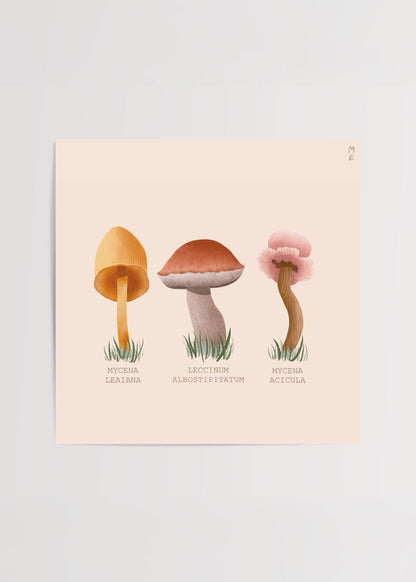 Beautiful mushrooms illustration in earthy tones, perfect for wall art.
