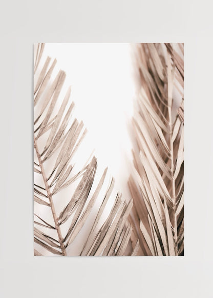 Whispers of Palm Fronds Art Print featuring soft beige palm leaves.