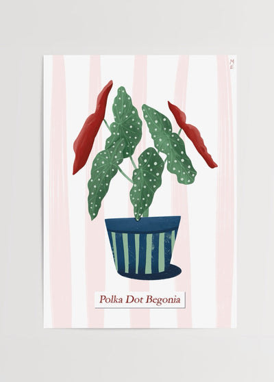 Polka Dot Begonia Poster Print