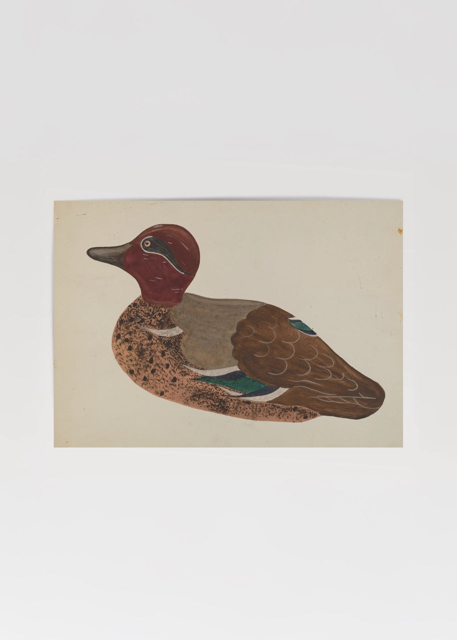 Artistic depiction of a duck, capturing nature&