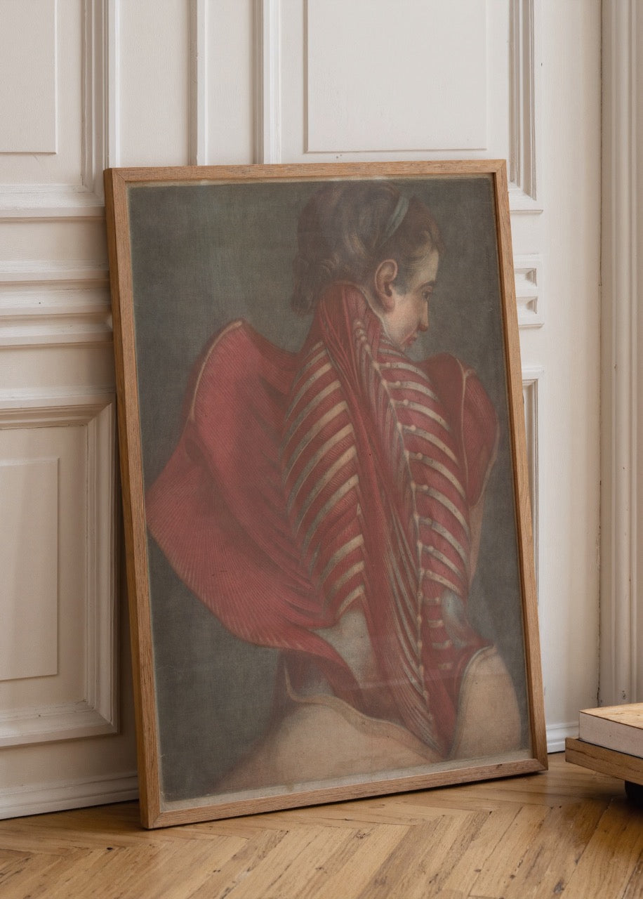 Vintage-inspired poster showcasing detailed back anatomy art.