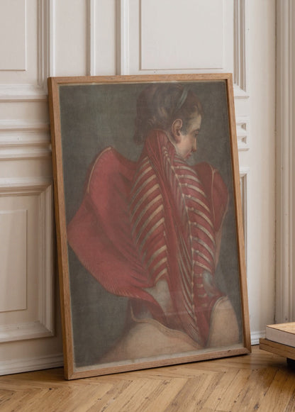 Vintage-inspired poster showcasing detailed back anatomy art.