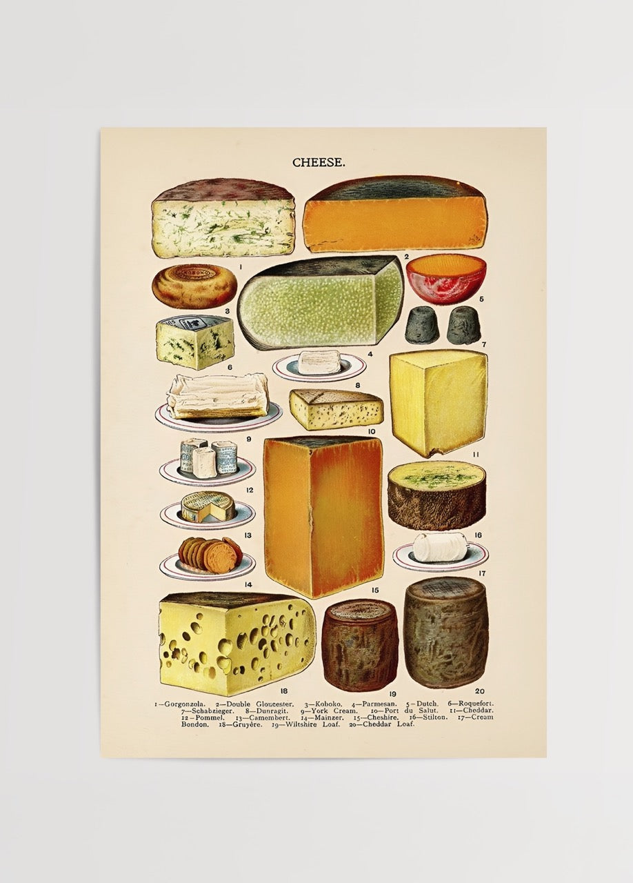 Vintage illustration of various cheese types for wall art.