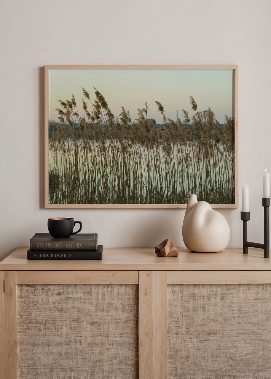 Photographic print of reeds by a tranquil lake in Białystok.