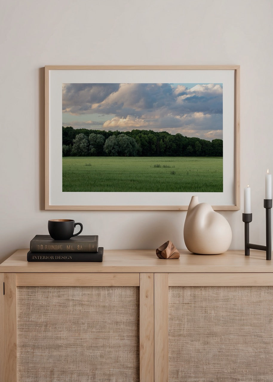 A serene green meadow under a cloudy sky, perfect for nature lovers.