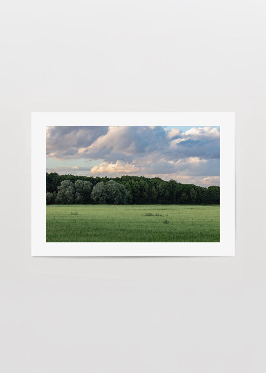 A serene green meadow under a cloudy sky, perfect for nature lovers.