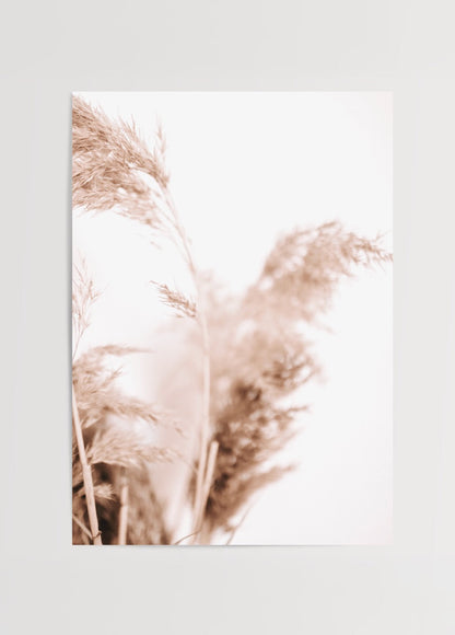 Soft sepia pampas grass wall art for serene interior styling