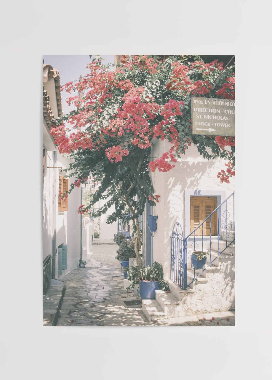 Beautiful Mediterranean street adorned with vibrant bougainvillea flowers.