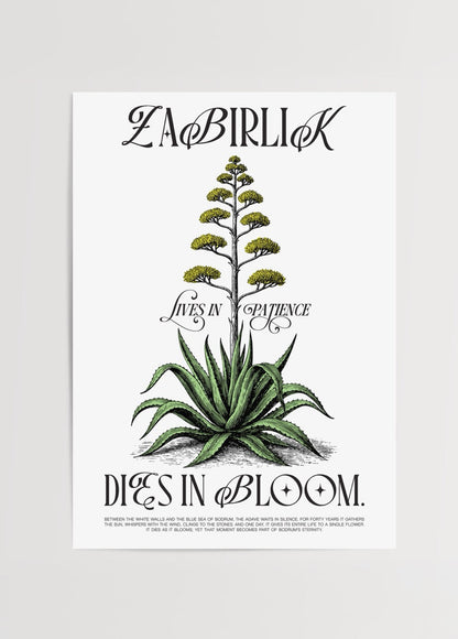 A beautiful botanical illustration poster featuring a striking plant with inspirational text.